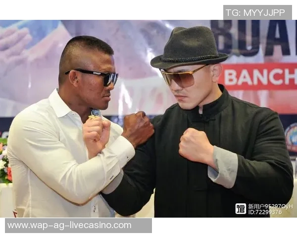 一龙与崔洪万巅峰对决拳坛传奇之战引发热议与期待