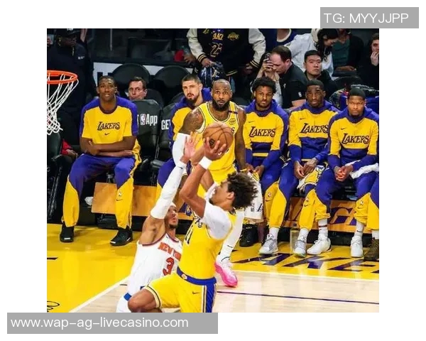 尼克斯与湖人精彩对决高清回放全场集锦分析与球员表现点评