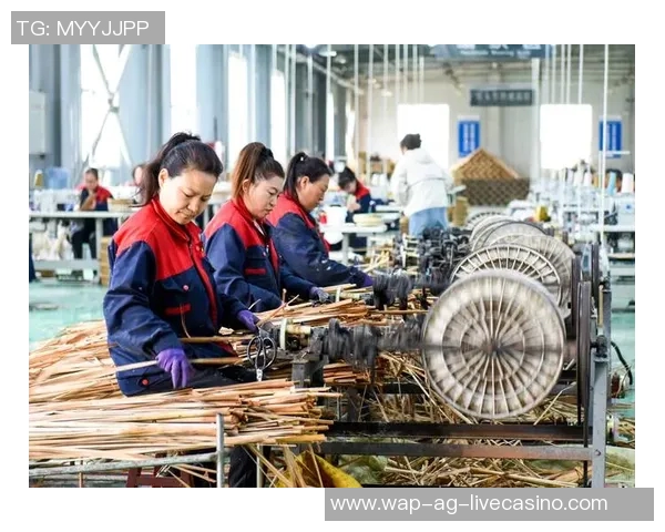 少林与太极的对决：武术哲学与技艺的深度探讨与碰撞